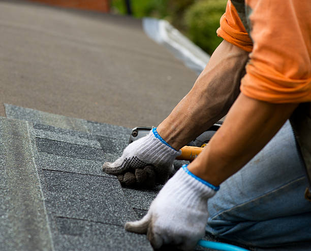 Best Local Roofing Companies  in Fort Benton, MT